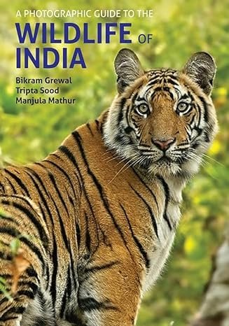 Wildlife Of India