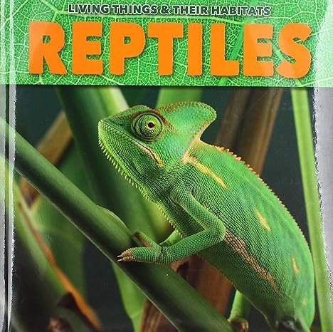 Reptiles
