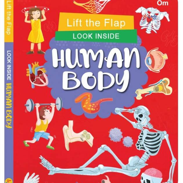 Lift The Flap Look Inside Human Body Board Book