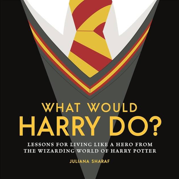 What Would Harry Do  Hb