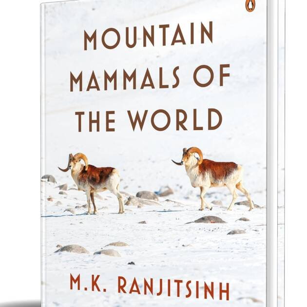 Mountain Mammals Of The World Hb