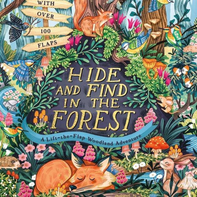Hide And Find In The Forest Hb