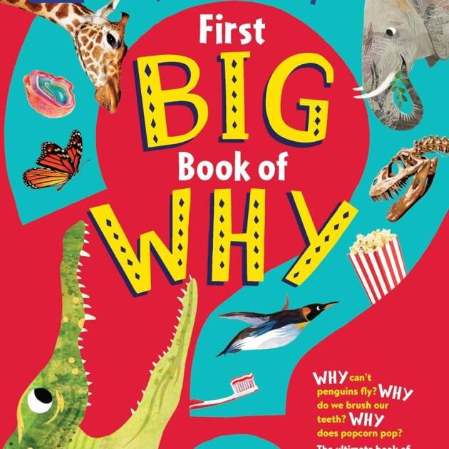 Britannica First Big Book Of Why  Hb