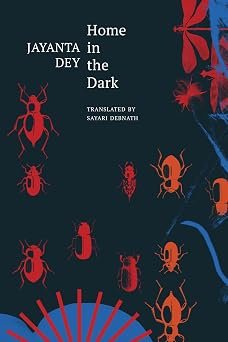 Home In The Dark Selected Stories (hb)